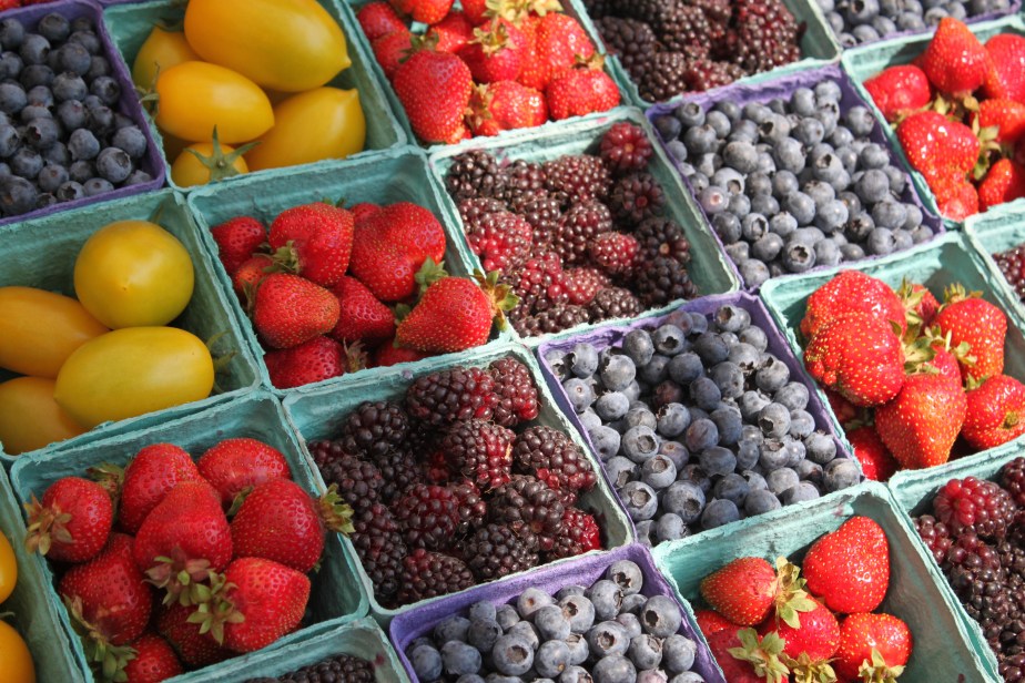 Beyond the Outbreak: What a Foodborne Parasite Reveals About the Systems We Rarely&nbsp;See